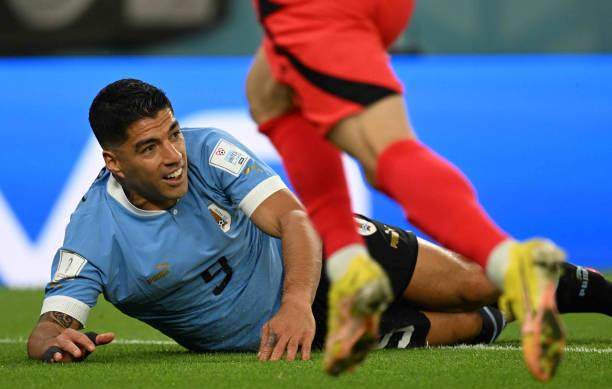 1669319342342085891.jpg 1444230188-612x612.jpg